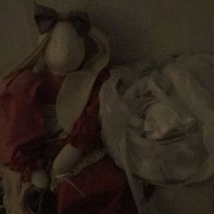 Meet your Posher, Donna